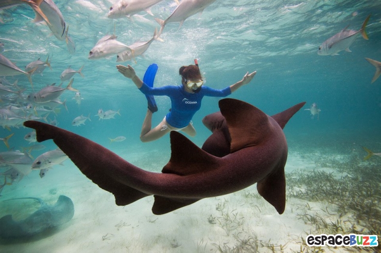 Illustration de l'article : Top 10 des plus belles photos de l’Homme avec le monde sous-marin!