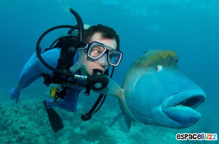 Illustration de l'article : Top 10 des plus belles photos de l’Homme avec le monde sous-marin!