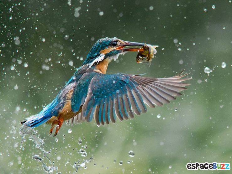 Illustration de l'article : Les 10 meilleures photos primées lors de la B&H Wilderness Photo Competition.