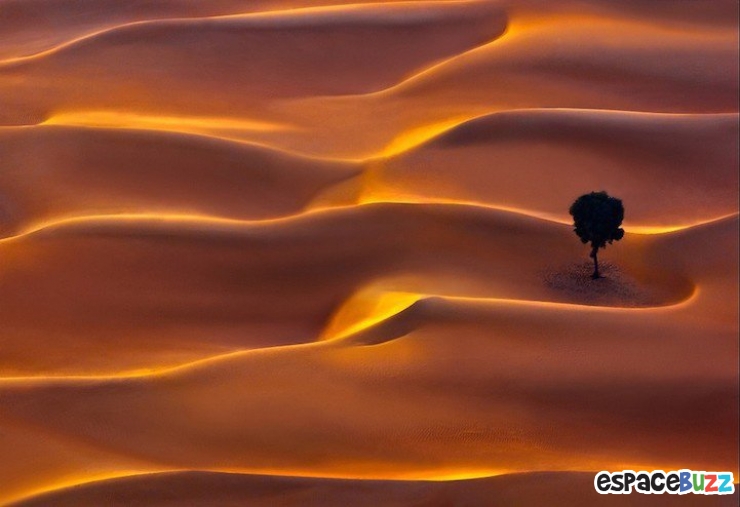 Illustration de l'article : Les 10 meilleures photos primées lors de la B&H Wilderness Photo Competition.