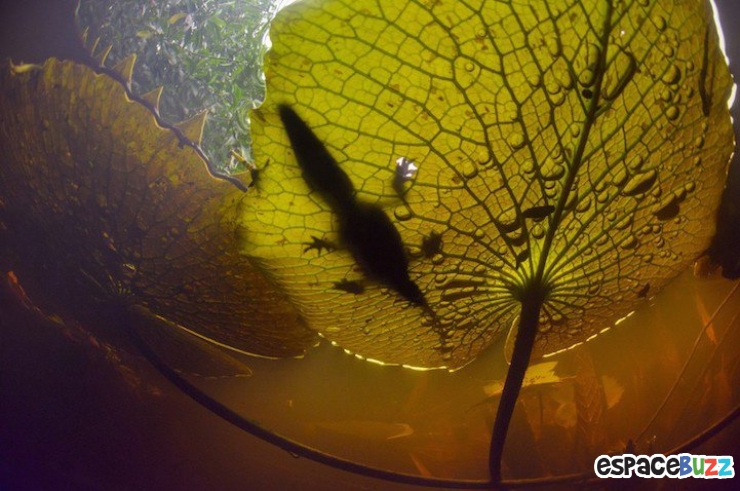 Illustration de l'article : Les 10 meilleures photos primées lors de la B&H Wilderness Photo Competition.