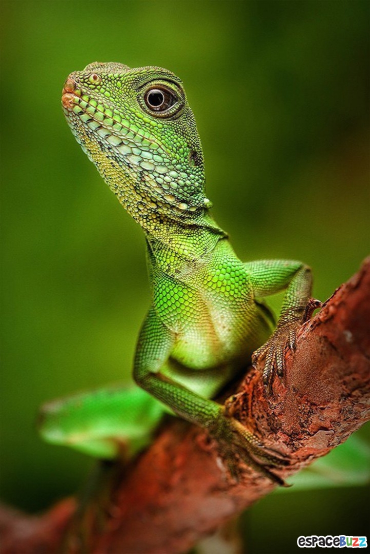 Illustration de l'article : Les 10 meilleures photos primées lors de la B&H Wilderness Photo Competition.