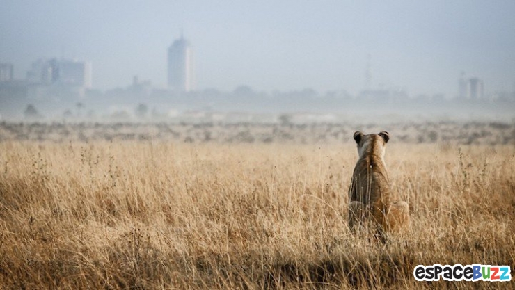 Illustration de l'article : Les 10 meilleures photos primées lors de la B&H Wilderness Photo Competition.