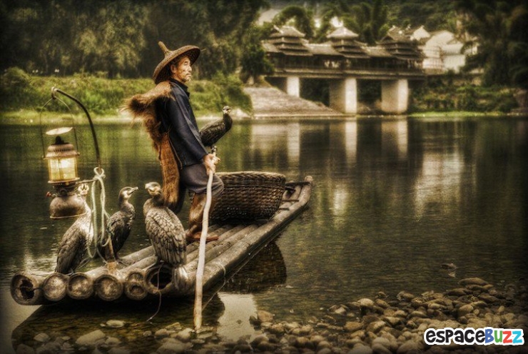 Illustration de l'article : Les 10 meilleures photos primées lors de la B&H Wilderness Photo Competition.