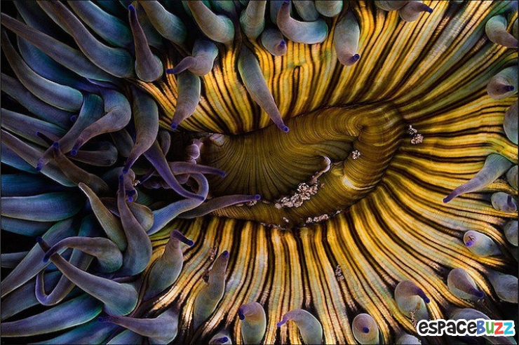 Illustration de l'article : Les 10 meilleures photos primées lors de la B&H Wilderness Photo Competition.