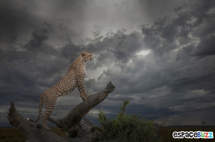 Illustration de l'article : Les 10 meilleures photos primées lors de la B&H Wilderness Photo Competition.