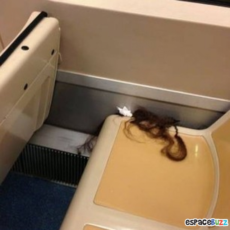 Illustration de l'article : Top 12 des créatures hors du commun qu’on ne peut croiser que dans le métro Vol.2 : Le retour.