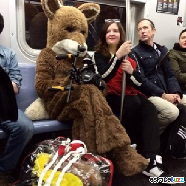 Illustration de l'article : Top 12 des créatures hors du commun qu’on ne peut croiser que dans le métro Vol.2 : Le retour.