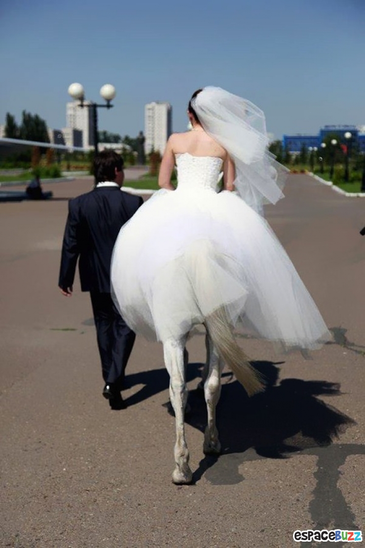 Illustration de l'article : Top 15 des photos prises au bon moment! Vol.1