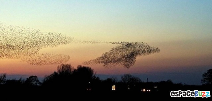Illustration de l'article : Top 15 des photos prises au bon moment! Vol.1