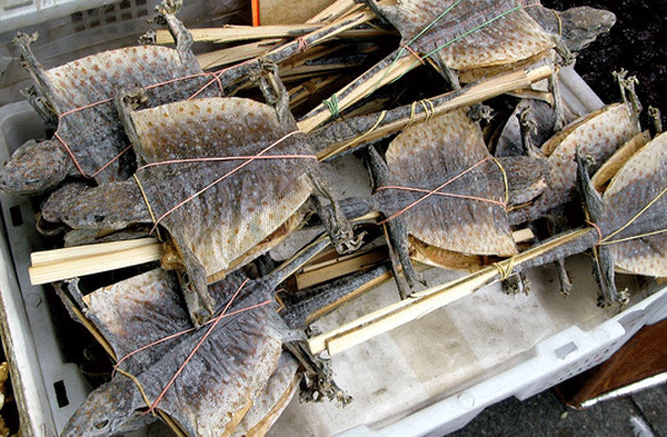 Illustration de l'article : Les 10 plats les plus r&eacute;pugnants qui existent sur terre !