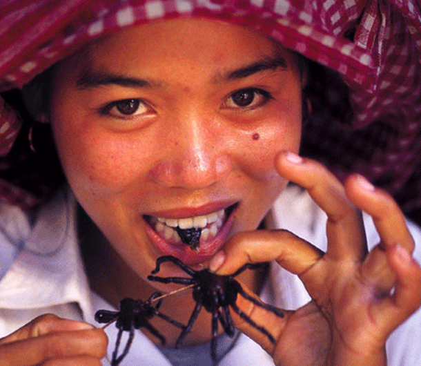 Illustration de l'article : Les 10 plats les plus r&eacute;pugnants qui existent sur terre !