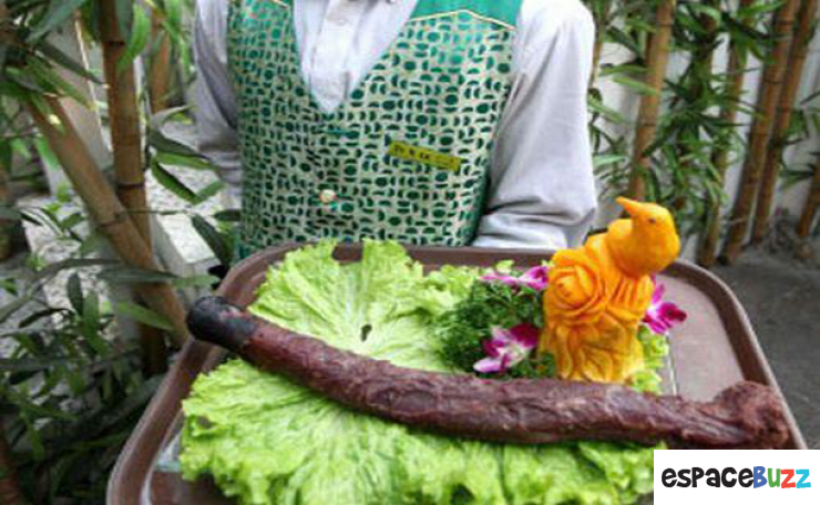 Illustration de l'article : Les 10 plats les plus r&eacute;pugnants qui existent sur terre !