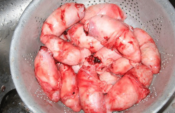 Illustration de l'article : Les 10 plats les plus r&eacute;pugnants qui existent sur terre !