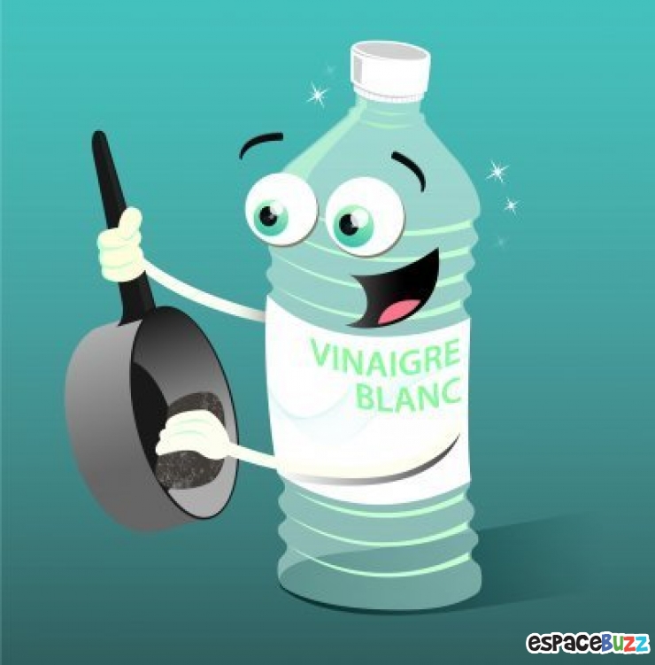 Illustration de l'article : 8 Astuces Pratiques pour vous d&eacute;barrasser des Araign&eacute;es