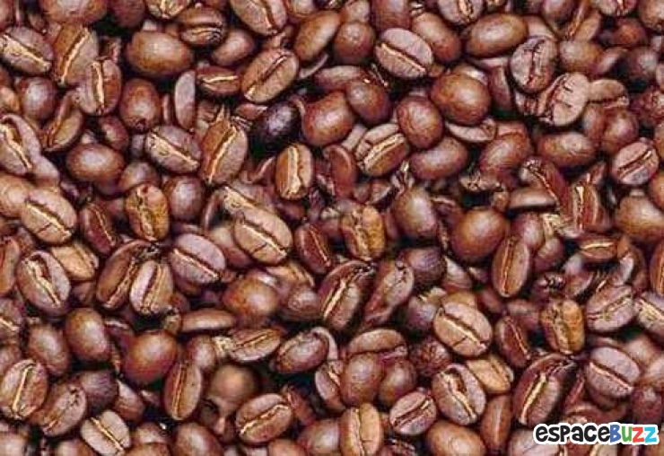 Illustration de l'article : Trouvez l'intrus!