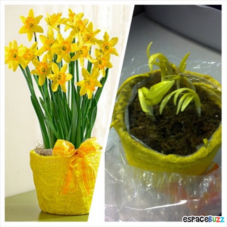 Illustration de l'article : Top 20 des produits esthétiquement loin de leur réalité