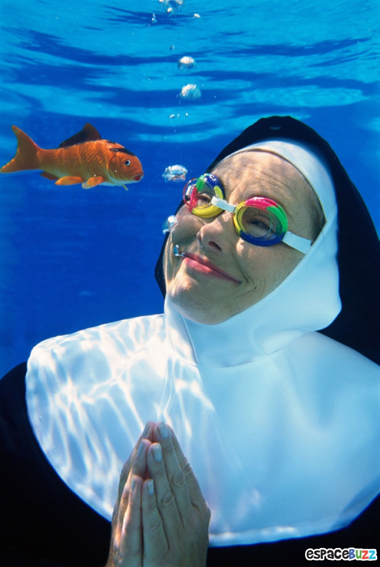 Illustration de l'article : Le top des 10 photos les plus absurdes