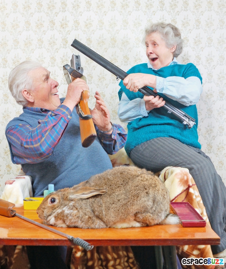 Illustration de l'article : Le top des 10 photos les plus absurdes