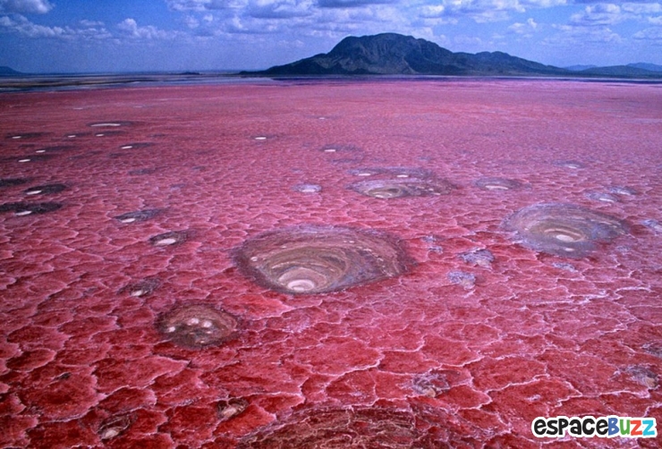 Illustration de l'article : Top 30 des phénomènes naturels les plus extraordinaires
