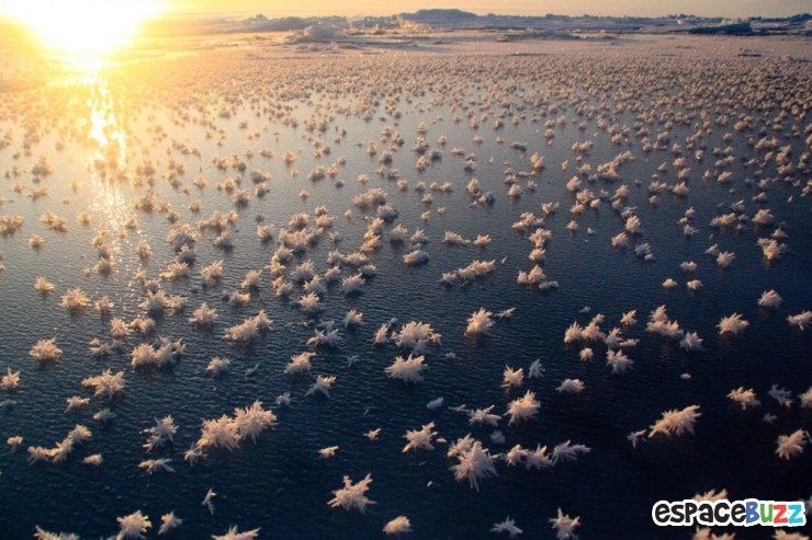 Illustration de l'article : Top 30 des phénomènes naturels les plus extraordinaires