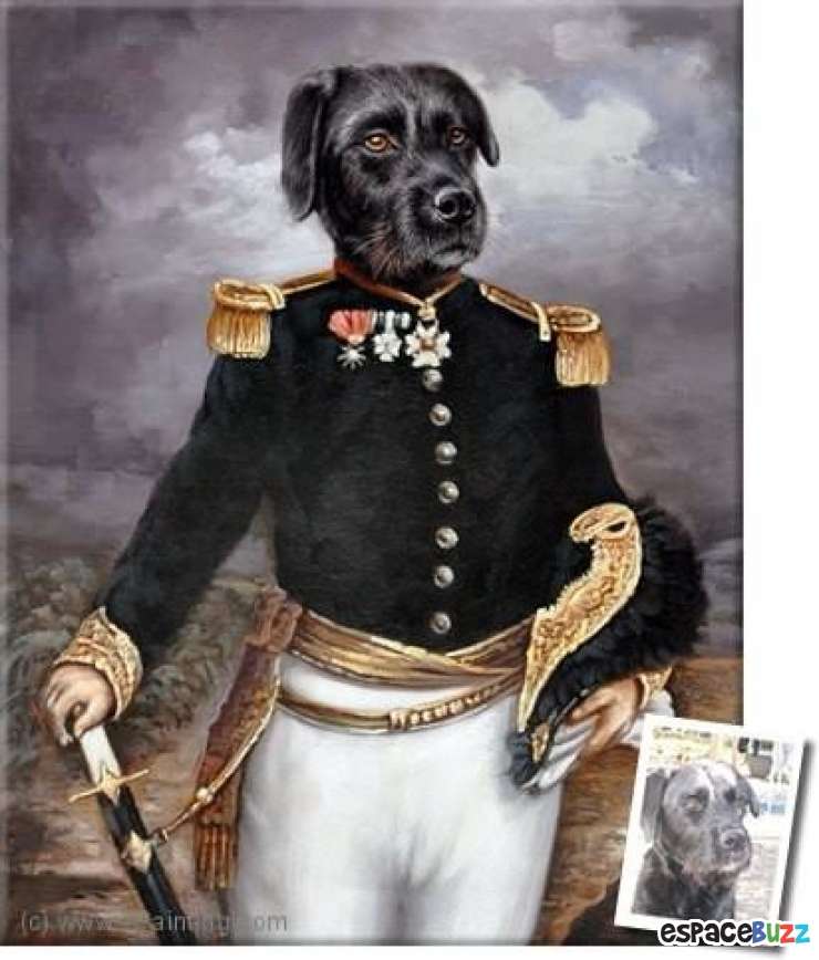 Illustration de l'article : Le top 15 des fanatiques de chiens