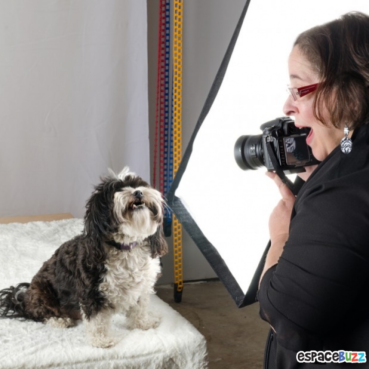 Illustration de l'article : Le top 15 des fanatiques de chiens