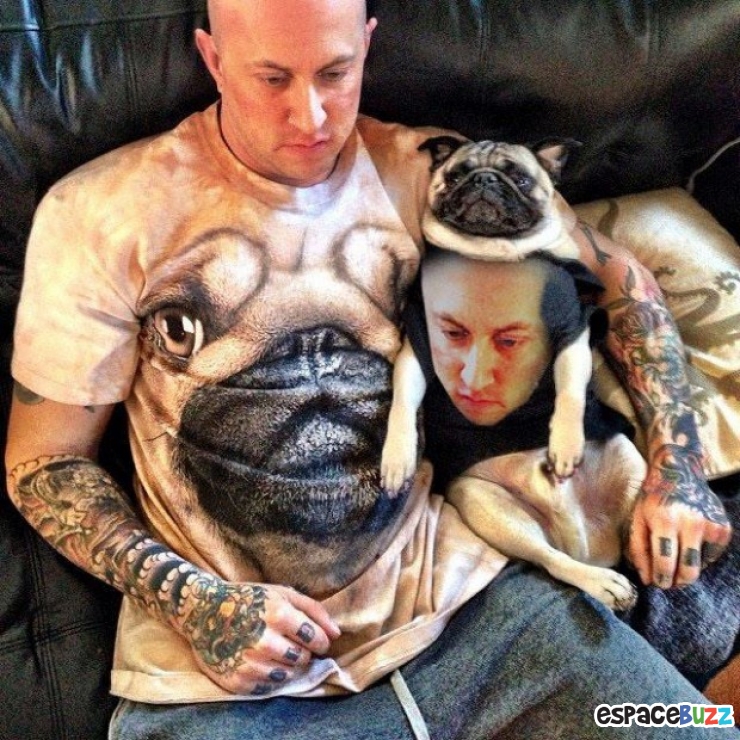 Illustration de l'article : Le top 15 des fanatiques de chiens