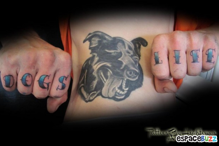 Illustration de l'article : Le top 15 des fanatiques de chiens