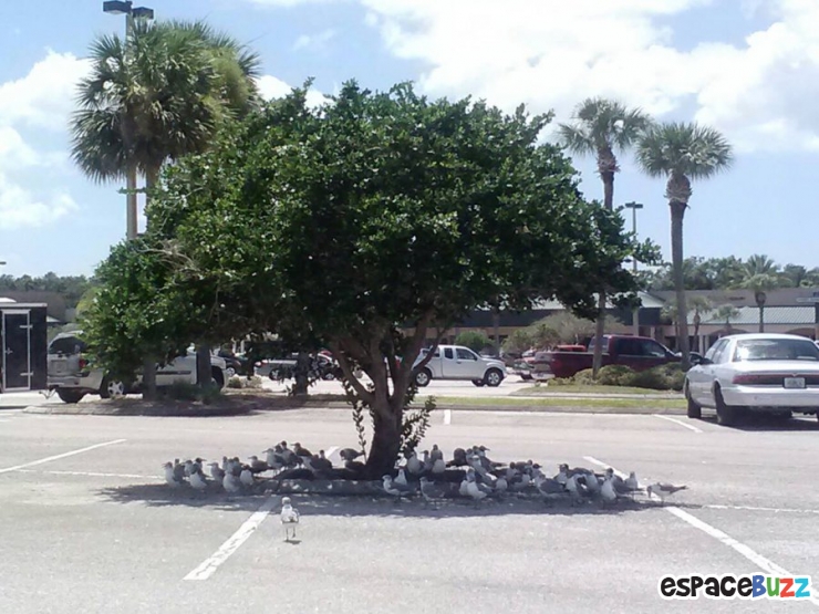 Illustration de l'article : Top 20 des trucs et astuces signes de canicule!