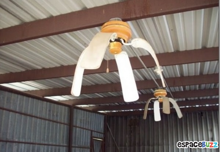 Illustration de l'article : Top 20 des trucs et astuces signes de canicule!