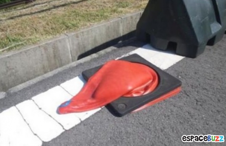 Illustration de l'article : Top 20 des trucs et astuces signes de canicule!