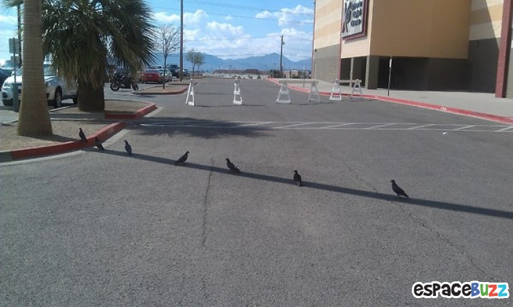 Illustration de l'article : Top 20 des trucs et astuces signes de canicule!