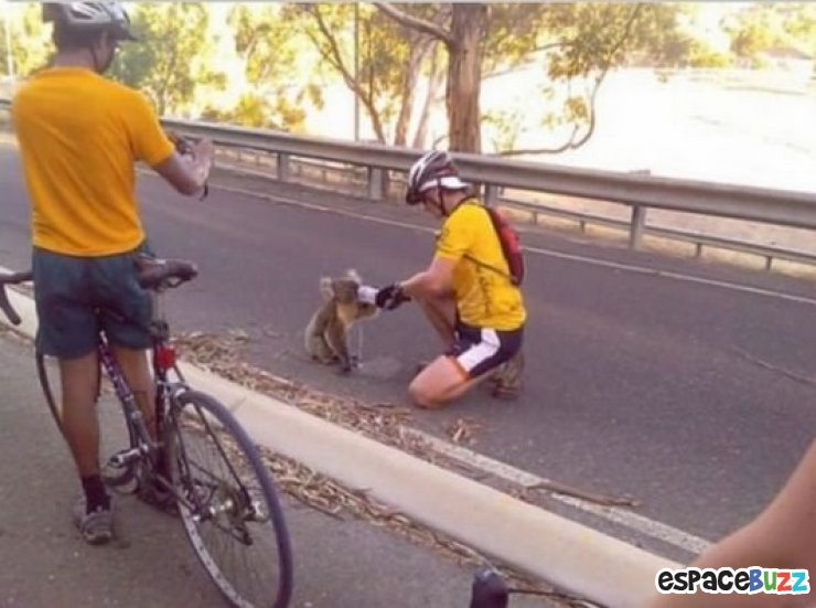 Illustration de l'article : Top 20 des trucs et astuces signes de canicule!