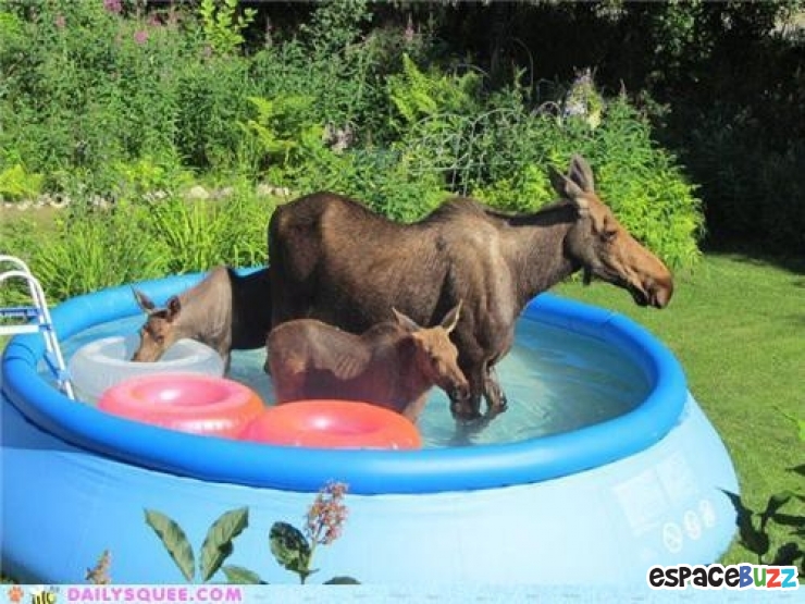 Illustration de l'article : Top 20 des trucs et astuces signes de canicule!