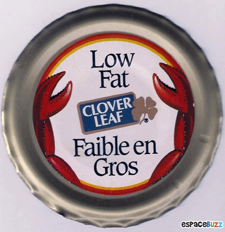 Illustration de l'article : Le top 15 des pires traductions jamais faites en langue française