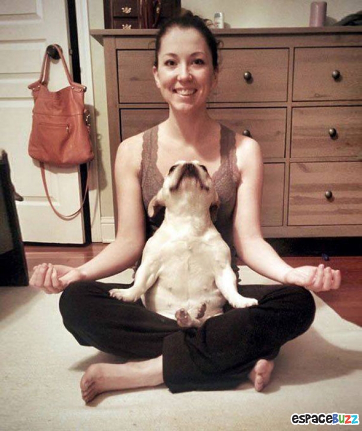 Illustration de l'article : Top des 15 animaux sportifs