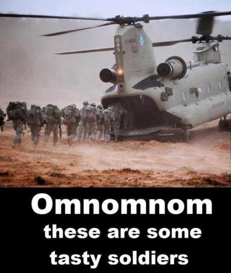 Illustration de l'article : Les militaires ont aussi le sens de l'humour. La preuve avec ces 15 photos