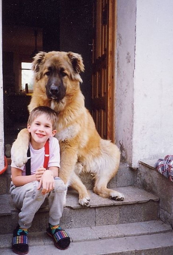 Illustration de l'article : 100 % tendresse : ces 18 grands chiens qui adorent les enfants