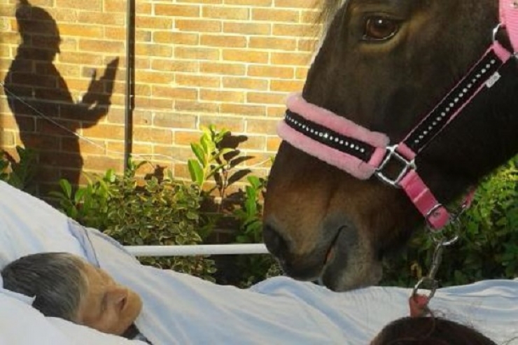 Illustration de l'article : Le seul souhait de cette femme canc&eacute;reuse en phase terminale &eacute;tait de revoir une derni&egrave;re fois son cheval avant de mourir