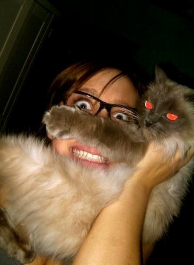 Illustration de l'article : 10 photos marrantes d'internautes dont les chats font office de barbes