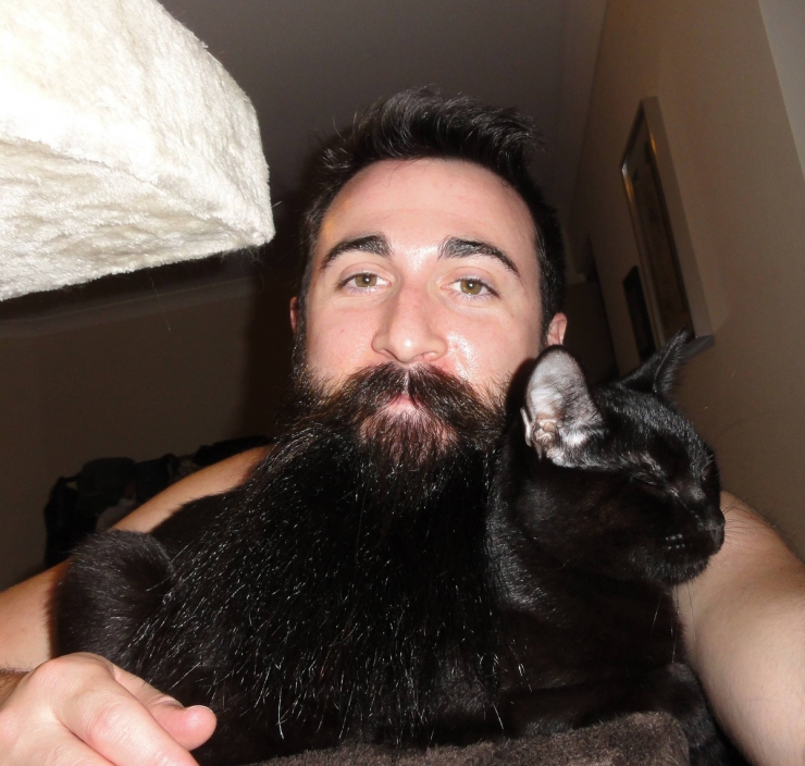 Illustration de l'article : 10 photos marrantes d'internautes dont les chats font office de barbes