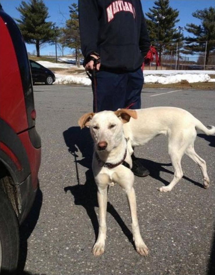 Illustration de l'article : Illusions d'optique, le retour : 8 nouvelles images déconcertantes