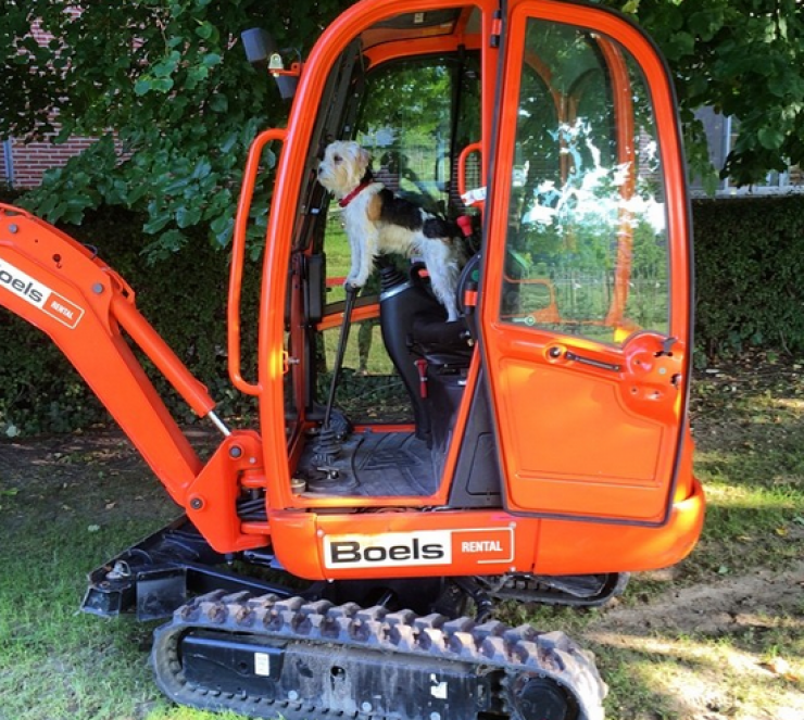 Illustration de l'article : 24 chiens qui prennent leur boulot très au sérieux