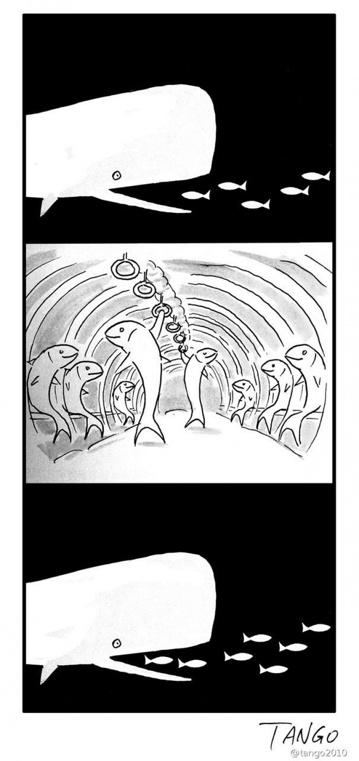 Illustration de l'article : 22 dessins humoristiques signés Shanghai Tango