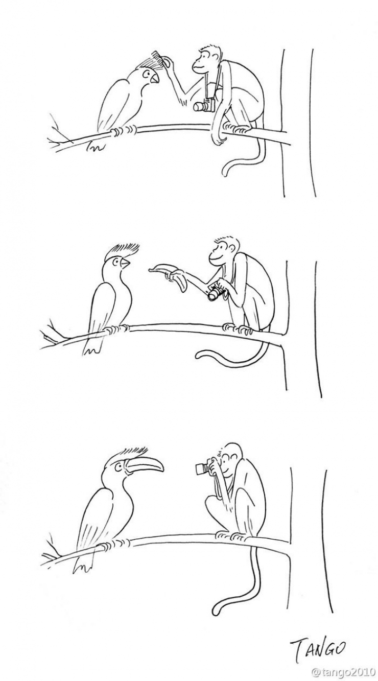 Illustration de l'article : 22 dessins humoristiques signés Shanghai Tango