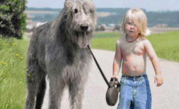 Illustration de l'article : Ce petit garçon traverse une épreuve difficile dans la vie, voilà comme il a réagit...J'en ai eu les larmes aux yeux!