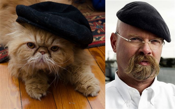 Illustration de l'article : Ces 17 chats dont la ressemblance avec des célébrités (ou autres) est frappante