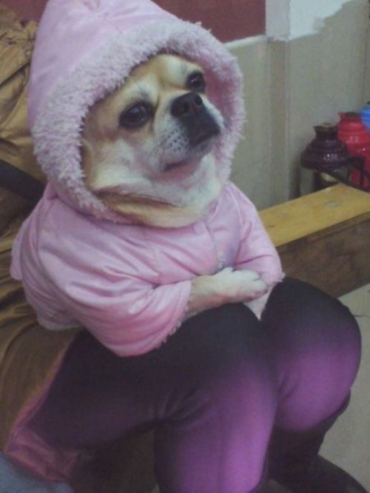 Illustration de l'article : 15 photos prises au bon moment et qu'il vous faudra regarder au minimum deux fois pour les comprendre!