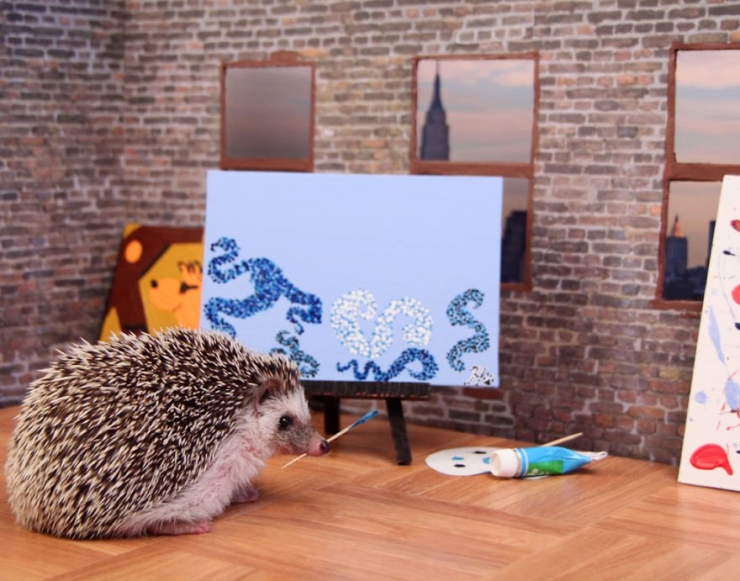 Illustration de l'article : Les aventures de Humphrey le hérisson en 13 amusantes photos